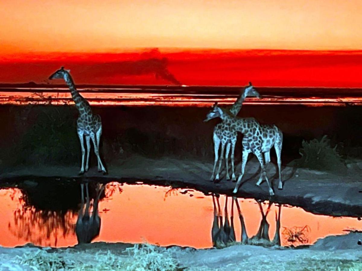Mwandi View Otel Kavimba Dış mekan fotoğraf